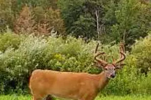 34473 Co Hwy 143, Bluffton, MN 56518 - Photo 47