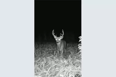 34473 County Highway 143, Bluffton, MN 56518 - Photo 51