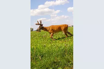 34473 County Highway 143, Bluffton, MN 56518 - Photo 53