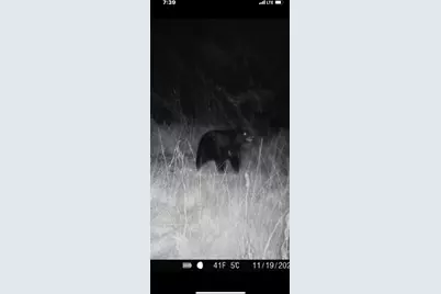 34473 County Highway 143, Bluffton, MN 56518 - Photo 49