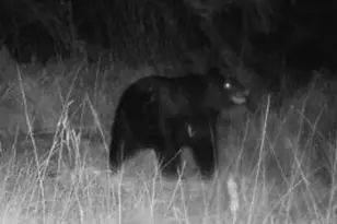 34473 Co Hwy 143, Bluffton, MN 56518 - Photo 49