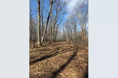 Tbd Woodchuck Trail, Cushing, MN 56443 - Photo 5
