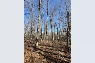 Tbd Woodchuck Trail, Cushing, MN 56443 - Photo 5