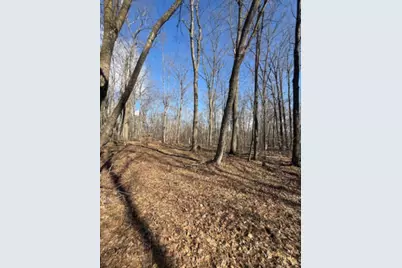 Tbd Woodchuck Trail, Cushing, MN 56443 - Photo 7