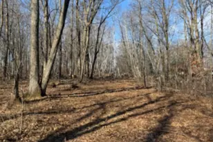 Tbd Woodchuck Trail, Cushing, MN 56443 - Photo 1