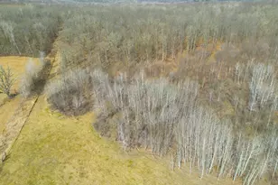 3298 Harbor St, Isle, MN 56342 - Photo 47