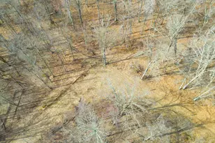 3298 Harbor St, Isle, MN 56342 - Photo 49