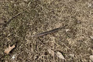 3298 Harbor St, Isle, MN 56342 - Photo 67