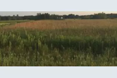 8354 169th Avenue NE, Forest Lake, MN 55025 - Photo 3