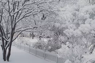 1569 Race St, Saint Paul, MN 55102 - Photo 35