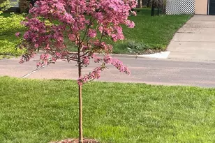 6731 Plymouth Ave N, Golden Valley, MN 55427 - Photo 31