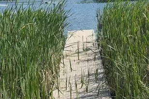 2221 Reubens Ln SW, Farwell, MN 56327 - Photo 29