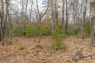 Lot 2 S Madison Avenue, Wascott, WI 54838 - Photo 7