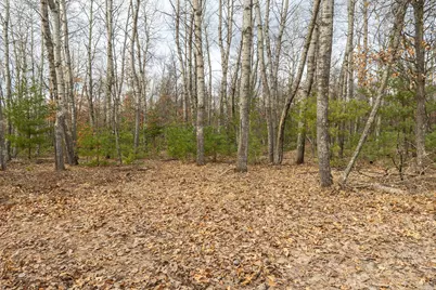 Lot 3 S Madison Avenue, Wascott, WI 54838 - Photo 7