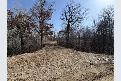 39157 Rocky Court, Sauk Centre Township, MN 56378 - Photo 3