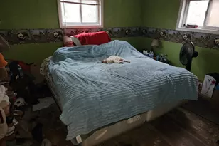 16305 680th Street S, Dodge Center, MN 55927 - Photo 13