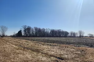 16305 680th Street S, Dodge Center, MN 55927 - Photo 23