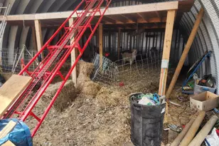 16305 680th Street S, Dodge Center, MN 55927 - Photo 25