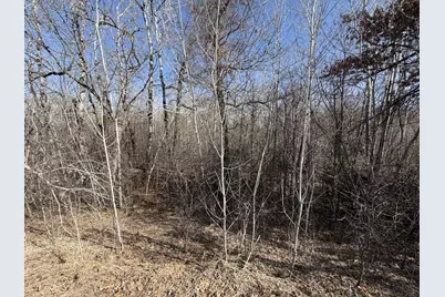 39160 Rocky Court, Sauk Centre Township, MN 56378 - Photo 3