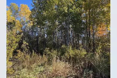 28532 460th Lane, Palisade, MN 55760 - Photo 11