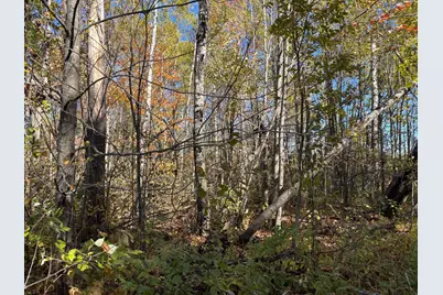 28532 460th Lane, Palisade, MN 55760 - Photo 9