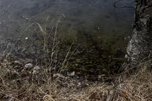 24331 Co Hwy 6, Detroit Lakes, MN 56501 - Photo 73