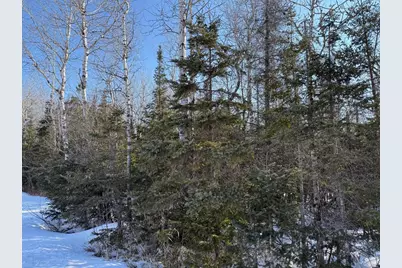 Xxx Highway 12, Two Harbors, MN 55616 - Photo 23