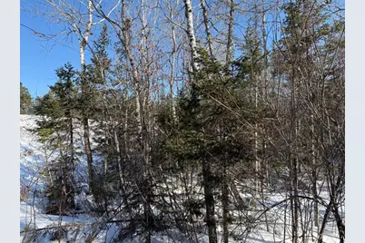 Xxx Highway 12, Two Harbors, MN 55616 - Photo 29