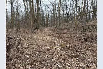 Tbd 460th Street, Gonvick, MN 56644 - Photo 45