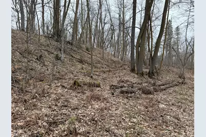 Tbd 460th Street, Gonvick, MN 56644 - Photo 47