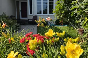 14207 41st Ave N, Plymouth, MN 55446 - Photo 25