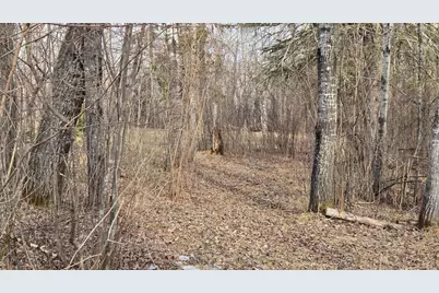 2785 County Road 962, Orr, MN 55771 - Photo 39