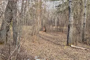 2785 Co Rd 962, Orr, MN 55771 - Photo 39