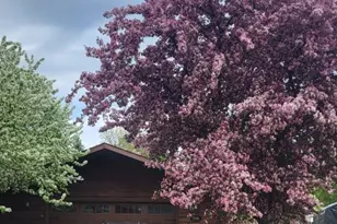 1906 Fraser Dr, Grand Rapids, MN 55744 - Photo 5