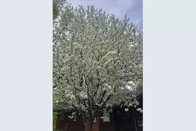 1906 Fraser Dr, Grand Rapids, MN 55744 - Photo 3