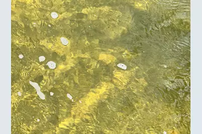 37106 Hackberry Point Road, Richville, MN 56576 - Photo 53