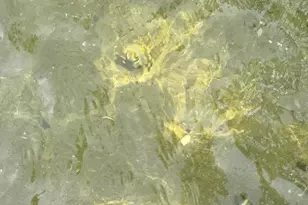 37106 Hackberry Point Rd, Richville, MN 56576 - Photo 51