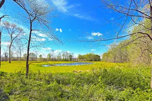 72Xx County Road 5 NW, Howard Lake, MN 55349 - Photo 1