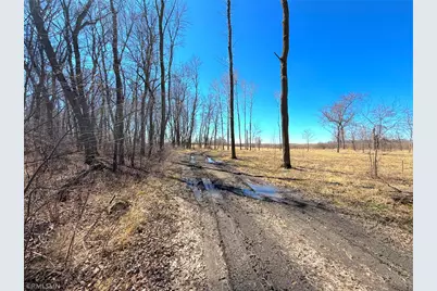 72Xx County Road 5 NW, Howard Lake, MN 55349 - Photo 29