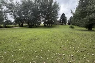 58533 243 St, Litchfield, MN 55355 - Photo 41