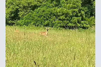 27333 Deep River Road, Lanesboro, MN 55949 - Photo 71
