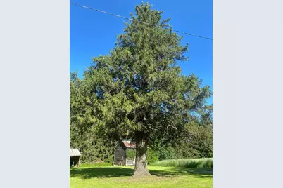 27333 Deep River Road, Lanesboro, MN 55949 - Photo 65