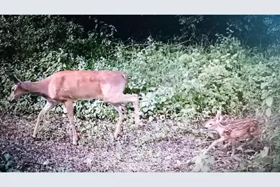 2732 State Highway 9, Ada, MN 56510 - Photo 27