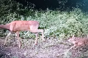 2732 State Hwy 9, Ada, MN 56510 - Photo 27