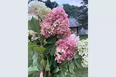 5330 Louisiana Avenue N, Crystal, MN 55428 - Photo 27