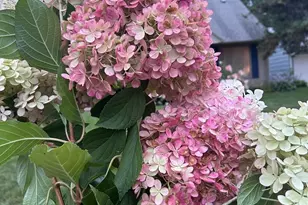 5330 Louisiana Ave N, Crystal, MN 55428 - Photo 27