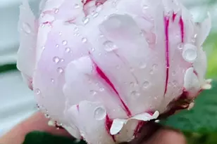 5330 Louisiana Ave N, Crystal, MN 55428 - Photo 29