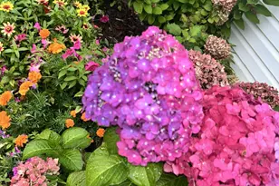 5330 Louisiana Ave N, Crystal, MN 55428 - Photo 25