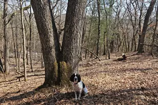 W13942 Co Rd B, Fairchild, WI 54741 - Photo 43