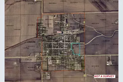 Tbd 4th St., Lismore, MN 56155 - Photo 1